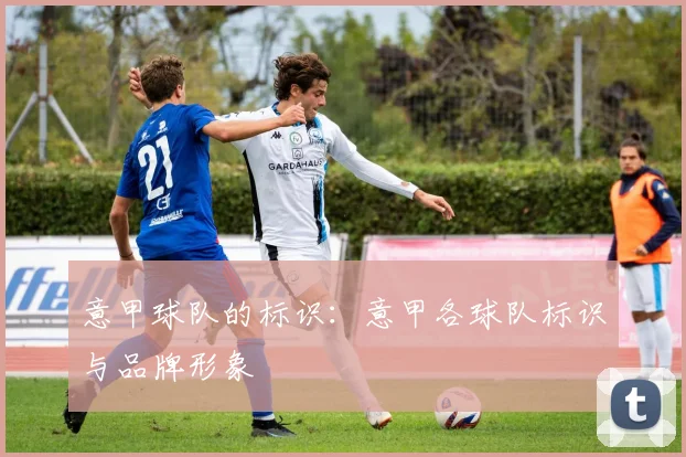 意甲球队的标识：意甲各球队标识与品牌形象